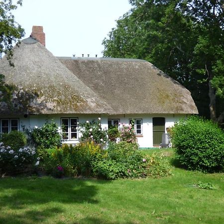 Wasserkoog 22 Tetenbull Exterior photo